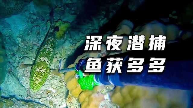 深夜潜捕鱼获多多