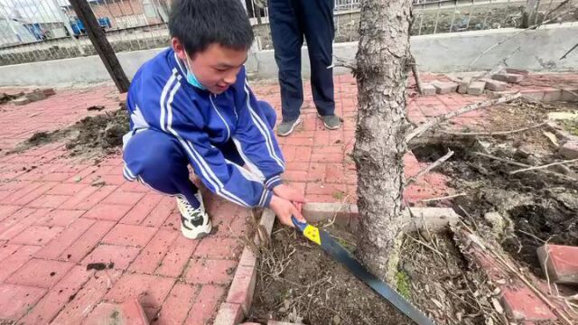 长荣中心学校全面育人主题教育活动