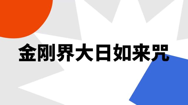 “金刚界大日如来咒”是什么意思?