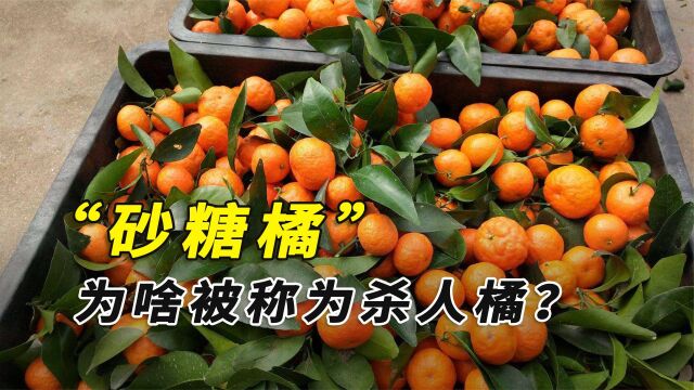 风靡全国的砂糖橘,为啥被称为“杀人橘”?吃多了有啥危害?