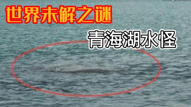 世界未解之谜:青海湖水怪