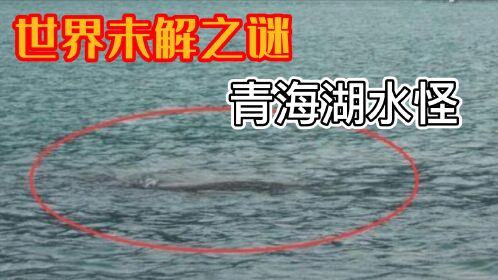 世界未解之谜:青海湖水怪