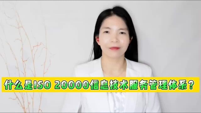 什么是ISO20000信息技术服务管理体系?