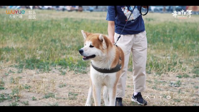 新城控股集团包头昆区吾悦广场AITO勇攀高峰