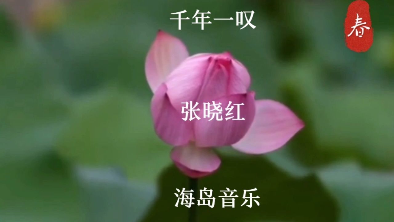 千年一叹张晓红 曲如其名,千年一叹一一叹今生、叹来世;叹命之苦,叹运不济;叹生如夏花,叹生如朝露。_高清1080P在线观看平台_腾讯视频