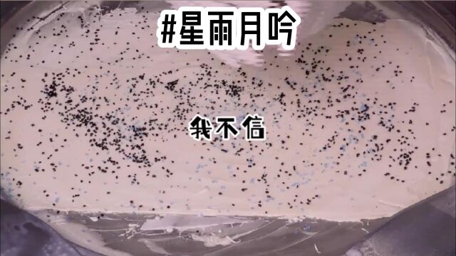 知乎小说.星雨月吟