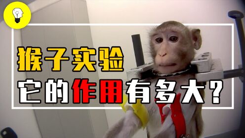 一只实验猴价值十几万,为什么这么贵?猴子实验的作用有多大?_高清1080P在线观看平台_腾讯视频