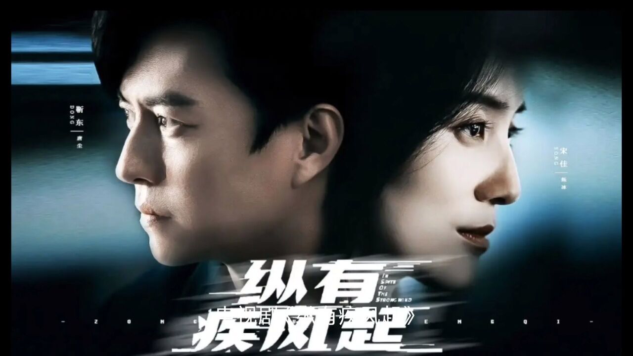 电视剧《纵有疾风起》是一部以公关行业为背景的都市情感剧,剧中的