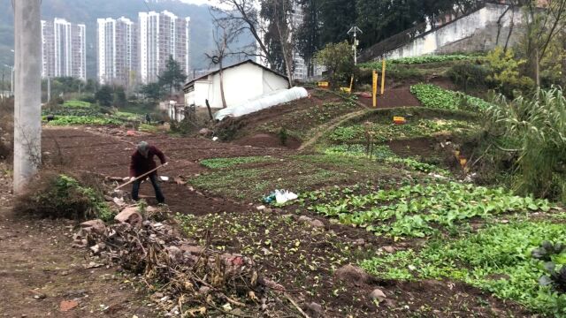 四川达州|城市边边上…