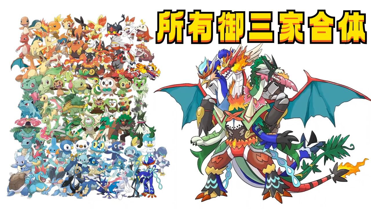 24组宝可梦"合体进化",最后所有御三家的合体太帅气了