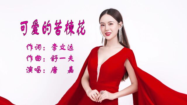 可爱的苦楝花作词:李文远 作曲:舒一夫 演唱:唐嘉大山影音制作