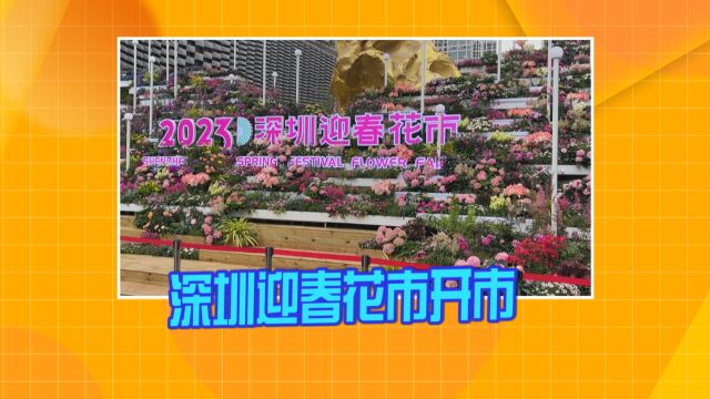 深圳迎春花市开市