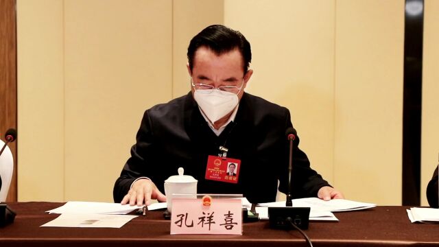 省十四届人大一次会议淮南代表团举行全体会议 任泽锋主持并讲话 陈儒江出席