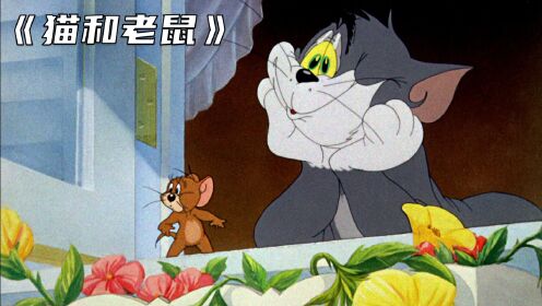 童年回忆，解说【猫和老鼠】经典少儿搞笑动画