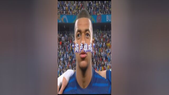 来看法国 队世界杯阵容