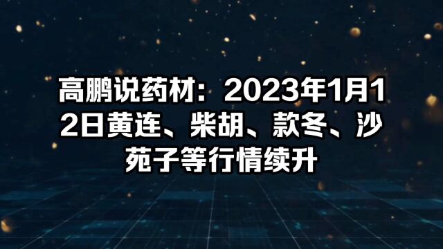 高鹏说药材:2023年1月12日黄连、柴胡、款冬、沙苑子等行情续升