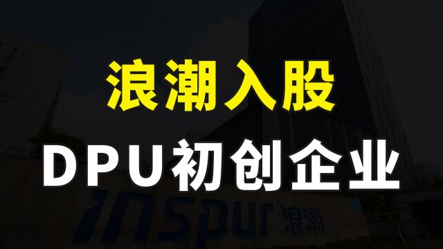 国产服务器龙头布局芯片产业,多次被美国限制,浪潮入股DPU公司