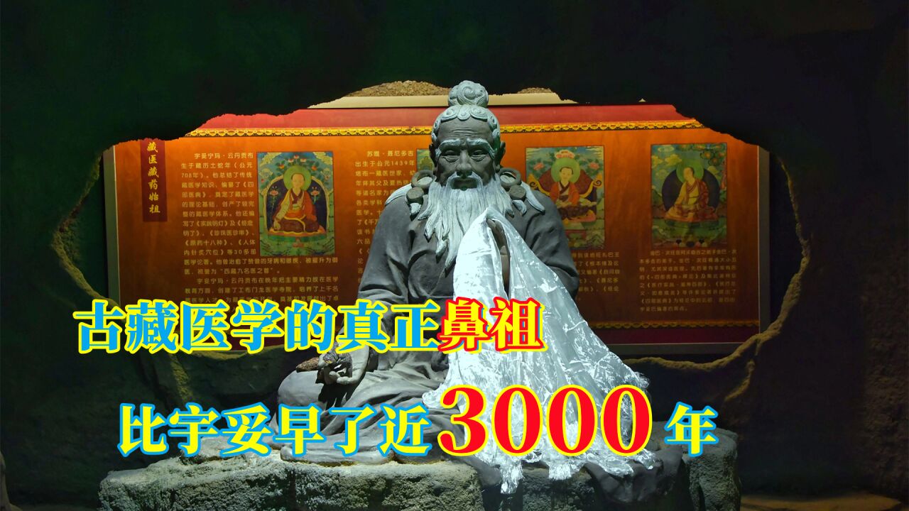 真正的藏医鼻祖,4000年前奠定藏医体系,四部医典只是过去的翻版_高清1080P在线观看平台_腾讯视频