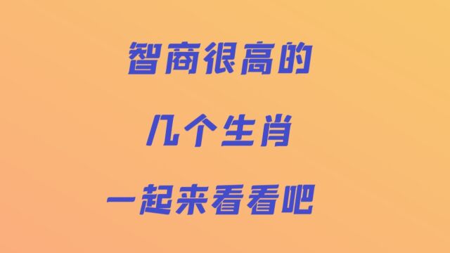 智商高的几个生肖一起来看看吧!