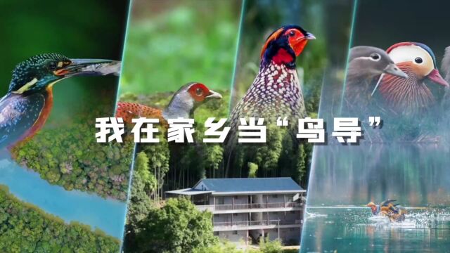 千城百县看中国|福建明溪:我在家乡当“鸟导”