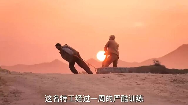 一部脱离低趣味的片子:这才是男人该看的电影,每秒都让人肾上线飙升