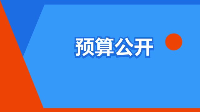 “预算公开”是什么意思?