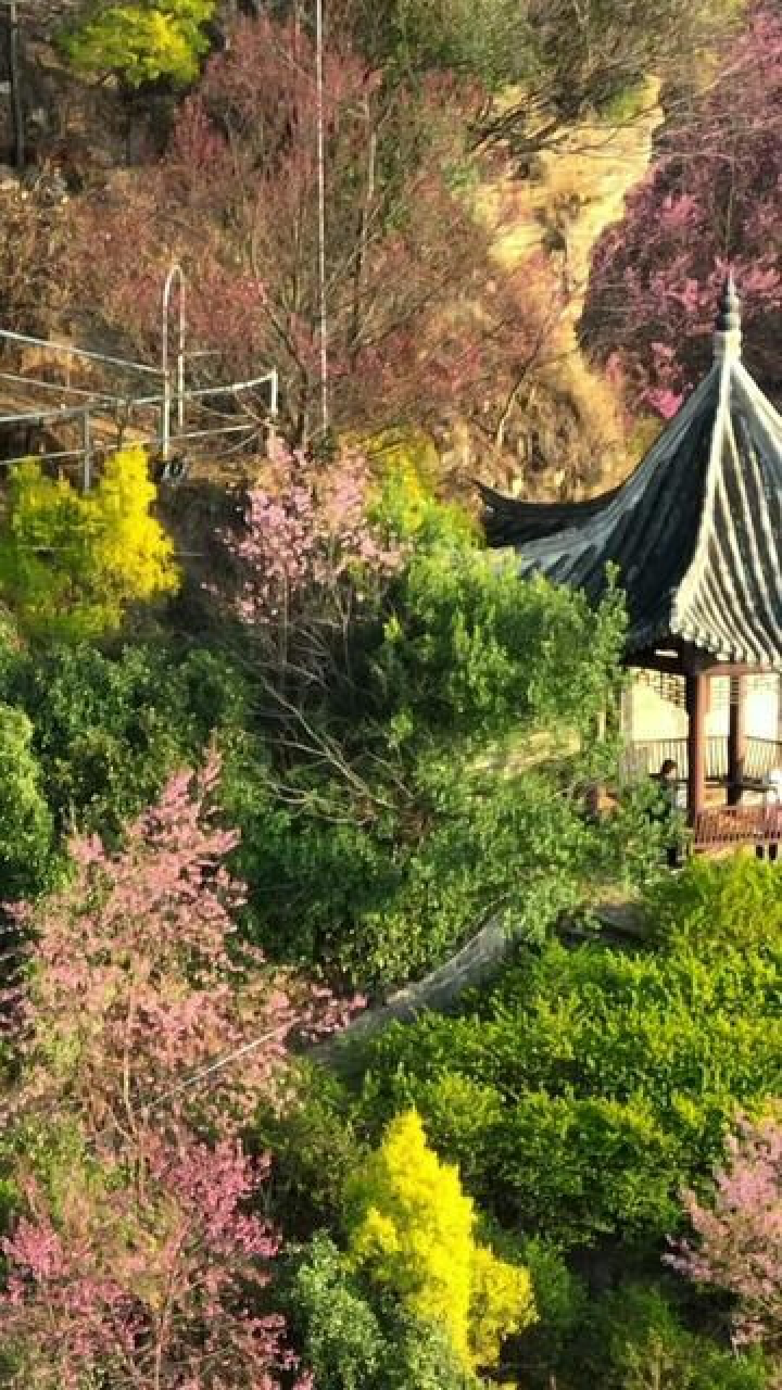 昆山宜良陡坡寺樱花美如画啦!