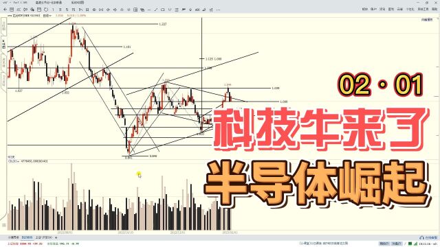 不惧利空,半导体强势反弹,“科技牛”来了