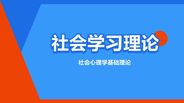 “社会学习理论”是什么意思?