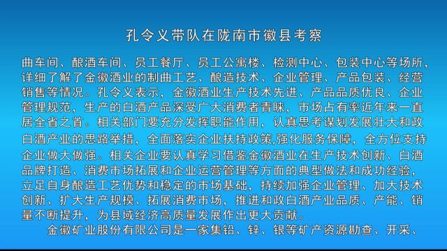 孔令义带队在陇南市徽县考察