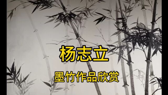 艺术家客厅 杨志立墨竹欣赏 2023年9月16日,徐之腾拍于成都墨君堂.