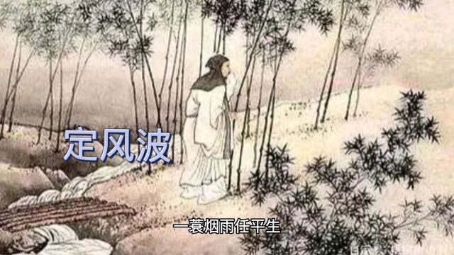 一蓑烟雨任平生