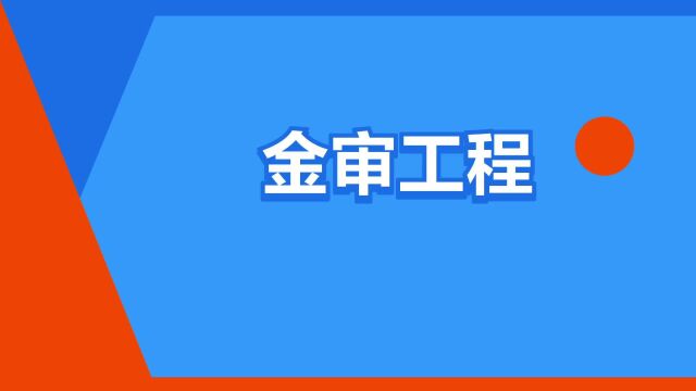 “金审工程”是什么意思?