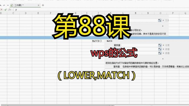 第88课wps的公式(LOWER,MATCH)