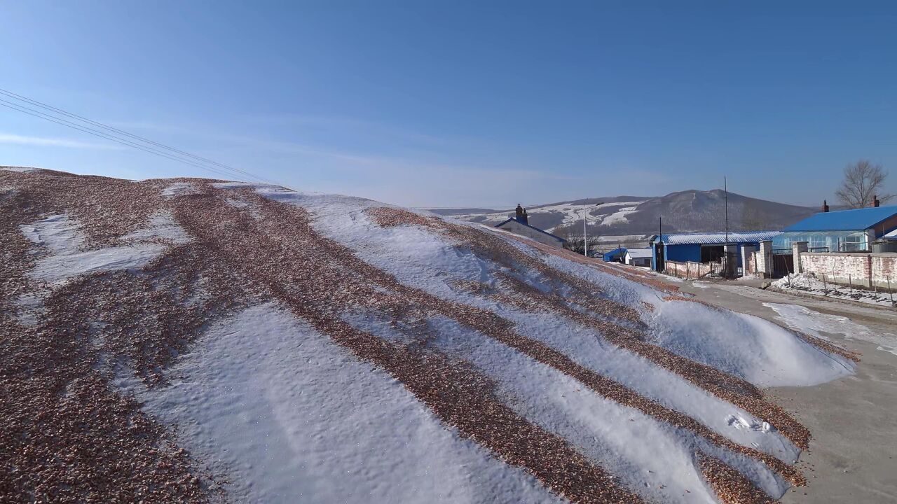 黑龙江省宁安市爱林村(2023.1.27)