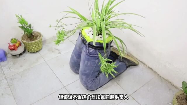 小哥用牛仔裤制作花盆,碳基生物想出来的?