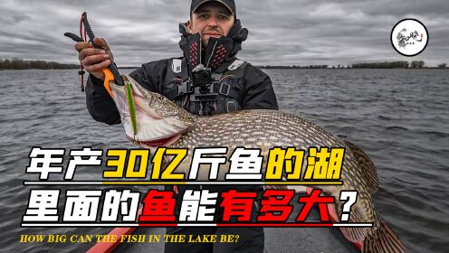 年产鱼30亿斤，深达千米的贝加尔湖，湖里最大的鱼有多大？_高清1080P在线观看平台_腾讯视频