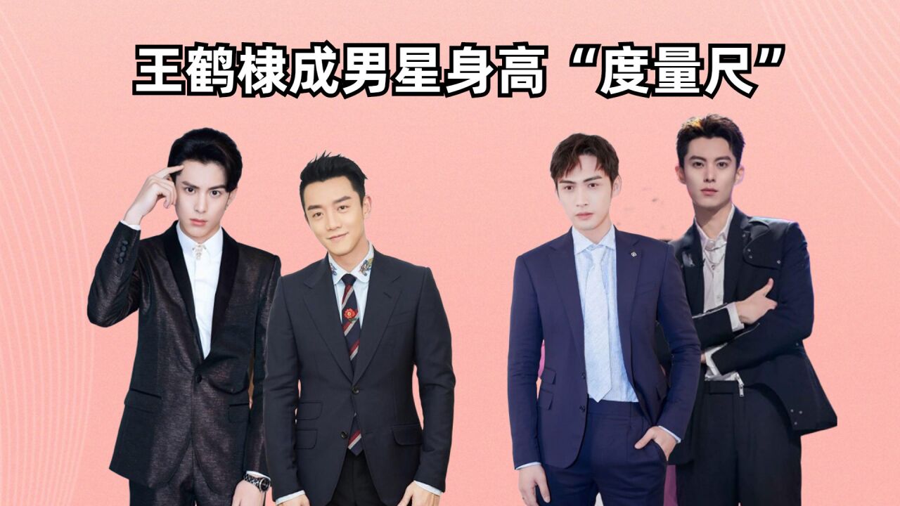 成男星身高"度量尺",郑恺含水量不小,刘耀文有待验证,看到张彬彬:眼花