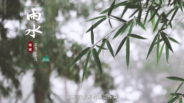 【网络中国节ⷮŠ二十四节气】节气里的桃城韵味——雨水