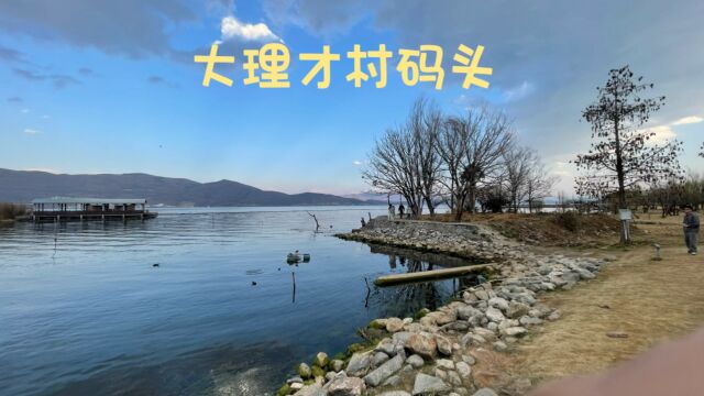 洱海才村码头