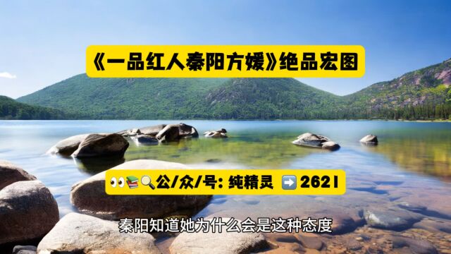 《一品红人秦阳方媛》全文在线阅读【绝品宏图】小说◆无广告