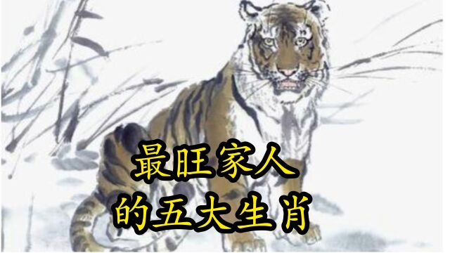 最旺家人的生肖属相