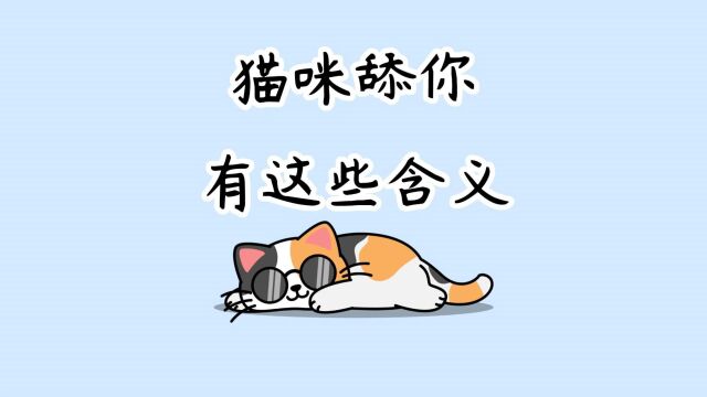 猫咪“舔你”,其实有这些含义,别不知道!