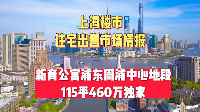 新育公寓浦东周浦中心地段115平460万独家