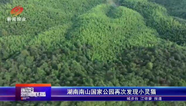 邵阳市南山国家公园再次发现国家一级保护动物小灵猫