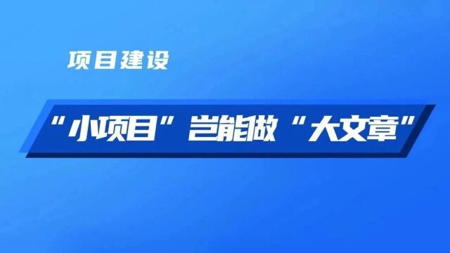 警钟 | 在“小项目”里大做文章,这些猫腻须严查!