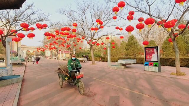 邢台园林达活泉公园腊梅开放踏春赏花,