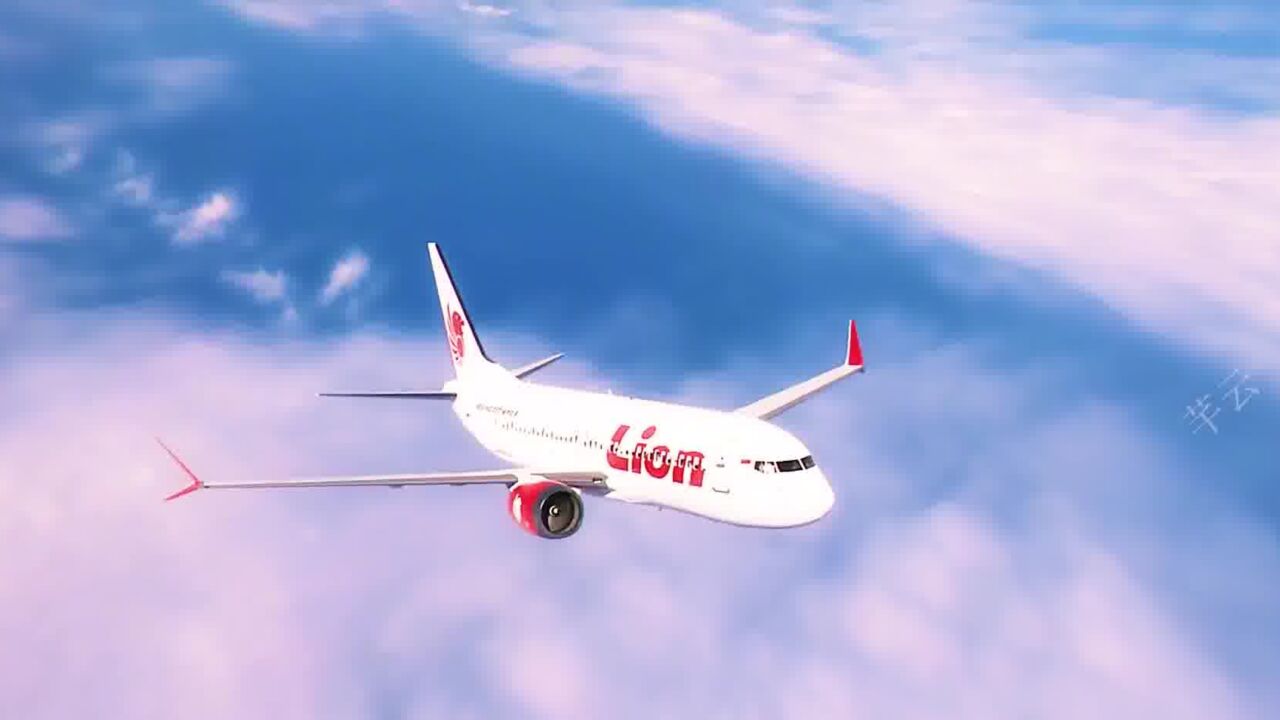 波音737max8首起空难,印尼狮子航空610号班机空难,真实改编灾难片