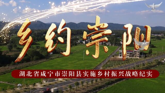 乡约崇阳—湖北省咸宁市崇阳县实施乡村振兴战略纪实