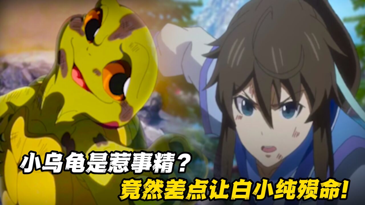 一念永恒:小乌龟是惹事精?竟然差点让白小纯殒命!